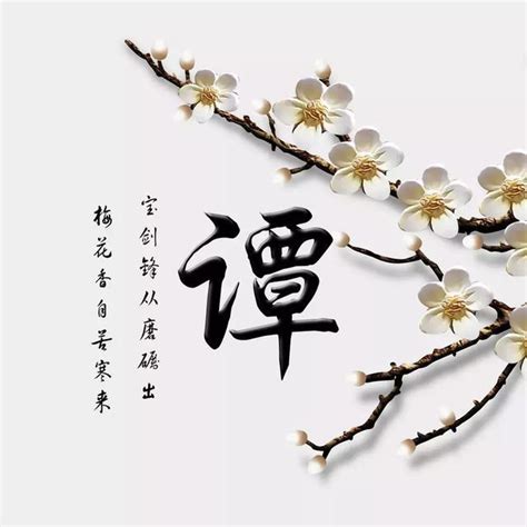 非主流头像姓氏谭