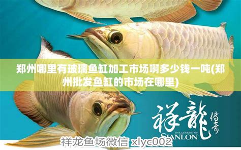 郑州哪里有玻璃鱼缸加工市场啊多少钱一吨(郑州批发鱼缸的市场在哪里) - 柠檬鲫 - 广州观赏鱼批发市场