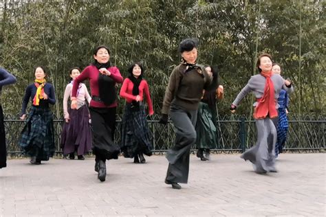 糖豆广场舞课堂《吉祥欢歌》藏族舞教学