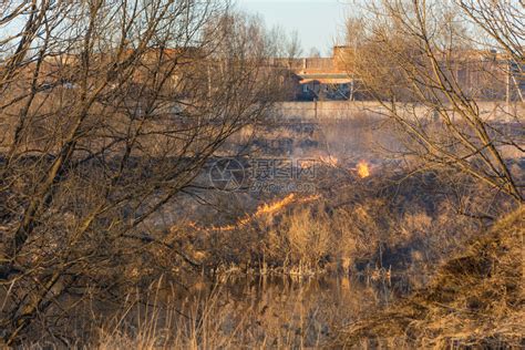 太阳热树在黄昏的红光下一条小河岸上燃烧草日落之夜高清图片下载-正版图片307622406-摄图网