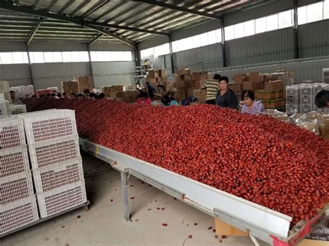 批发和田大枣500g 肉厚原味新疆红枣干果原产地直供 一件代发-阿里巴巴