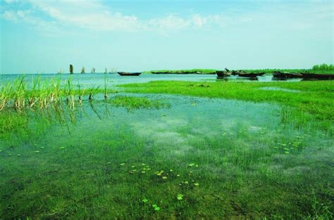 洪泽湖湿地公园-江苏省生态观鸟最佳去处