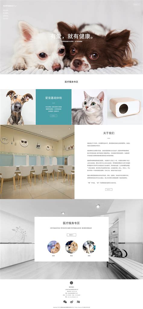 宠物医院网页设计_云花-站酷ZCOOL