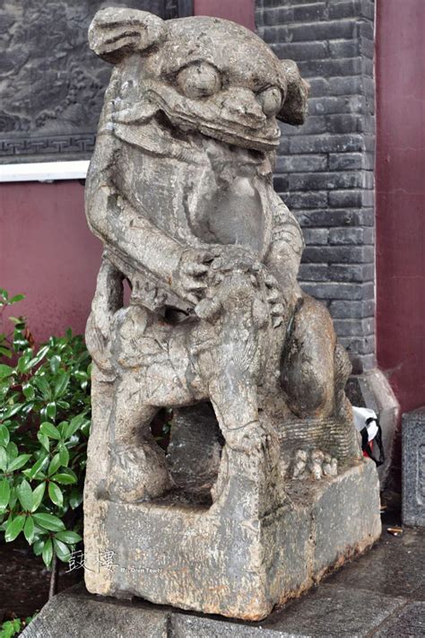 石家庄市正定1100多年历史天宁寺里实拍千年古树和元代石狮!
