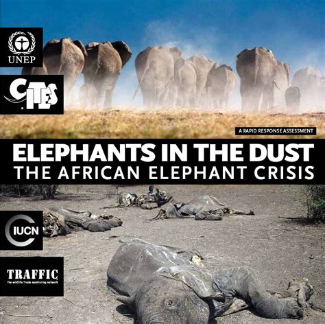 最新报告警示：非洲大象种群前途叵测----国家濒科委