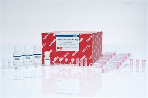 RNeasy Plus Mini Kit (50)qiagen试剂盒 分子生物试剂-环保在线