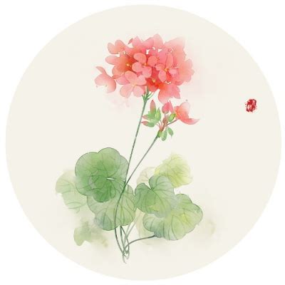温柔手绘花朵头像女生