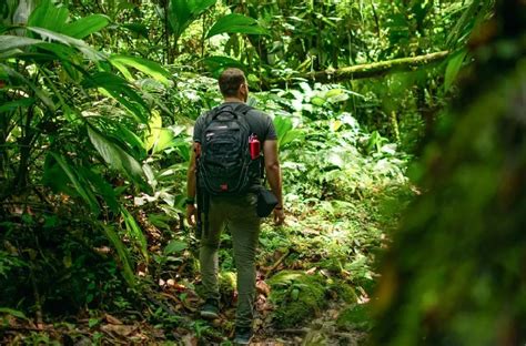 丛林冒险探索自然的男人高清图片下载-正版图片502020158-摄图网
