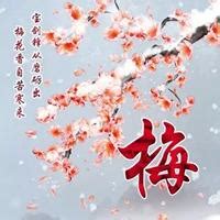 非主流头像梅花图片