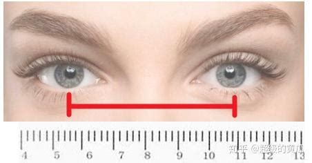 加延华：什么是瞳距，测量瞳距的正确方法有哪些 - 知乎