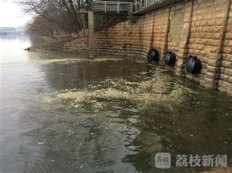 春节上班首日双桥门泵站污水直接偷排外秦淮河