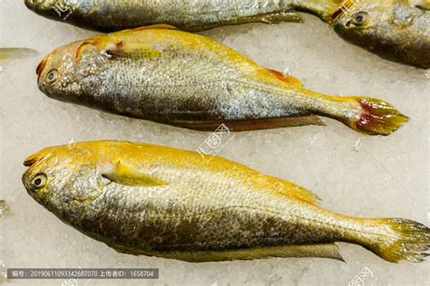 三都港 冷冻三去大黄鱼700g/2条装 黄花鱼 深海鱼 生鲜 鱼类 海鲜水产-商品详情-光明菜管家