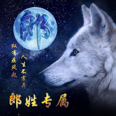 暗黑姓氏头像非主流