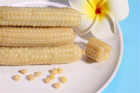 云南糯玉米甜玉米西双版纳老品种白糯拇指玉米小玉米-阿里巴巴