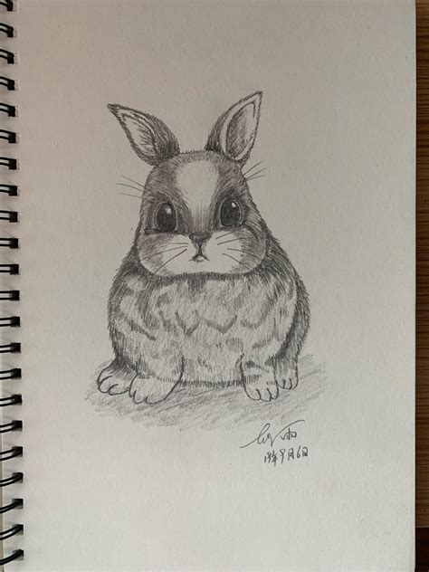 铅笔画动物小兔子（非原创作品） - 堆糖，美图壁纸兴趣社区