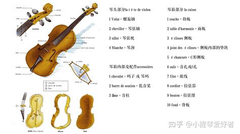 学小提琴前需要了解的学琴基础 | 小提琴作坊