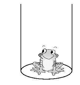 青蛙坐井观天