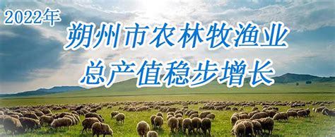朔州城发集团恭祝全市人民新春快乐，兔年大吉！_腾讯视频