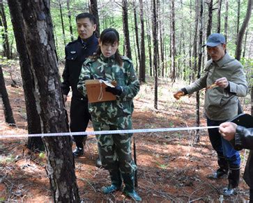 黑龙江华林森林资源资产评估有限公司