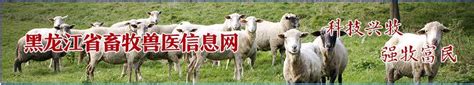 黑龙江创建3个现代化养殖示范场— 牛养殖场2个 生猪养殖场1个 | 中国动物保健·官网