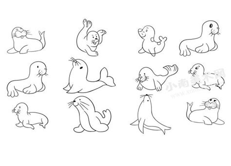 教你画萌萌的小海豹简笔画 幼儿简单的动物简笔画 肉丁儿童网