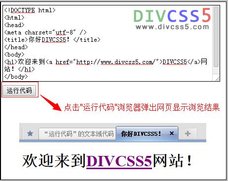 网页中嵌入输入框可点击“运行代码”DIV+JS模块 - DIVCSS5