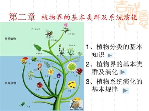 2019年中小学生自然笔记大赛圆满收官！ - 中国自然保护区生物标本资源共享平台