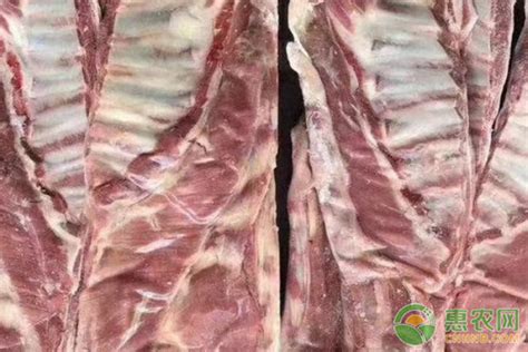 莆田-羊肉/一斤熟羊肉多少钱一斤!