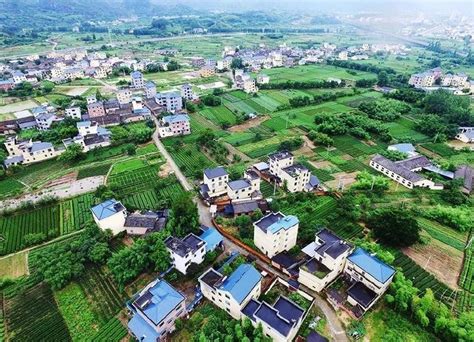 丽水将开展农村宅基地“三权分置”改革试点——浙江在线