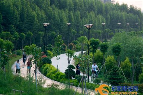 麒麟湖和沧波湖成为南京麒麟生态公园两处湖泊名字丨中国新闻网_我苏网