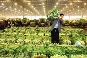 蔬菜批发市场的营销点,卖蔬菜的营销手段,蔬菜深加工的销路(第3页)_大山谷图库