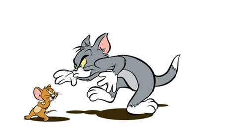猫捉老鼠图片卡通,猫捉老鼠卡通画,猫和老鼠图片卡通_大山谷图库