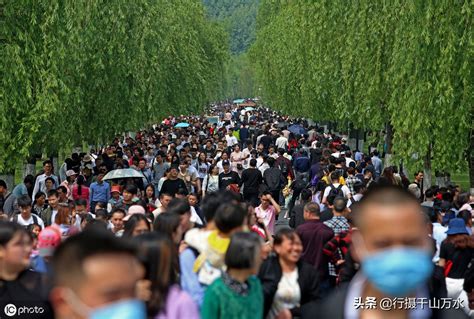 双休日，市民坐上浦江轮渡就能去北外滩滨江赏美景 - 周到上海