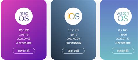 尝鲜派ios17描述文件官方下载入口-iBeta尝鲜派iOS17下载v17.5 RC 开发者测试版-单机100网