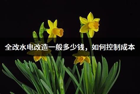 装房水电改造的价格是多少 室内装修水电改造详细流程_猎装网装修平台