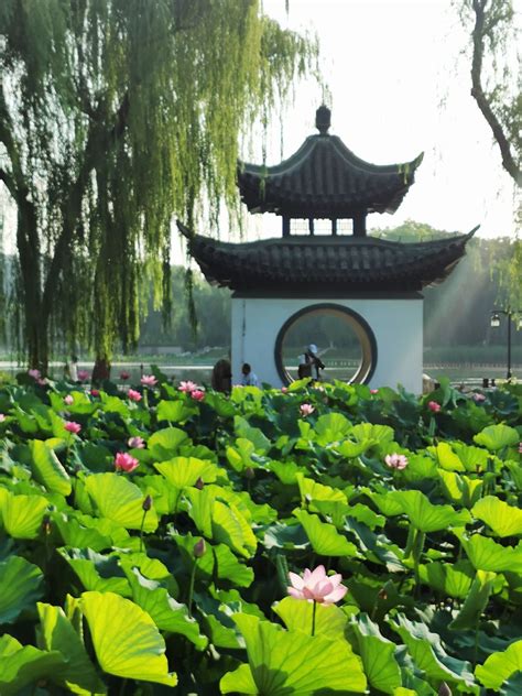 2021陶然亭公园-旅游攻略-门票-地址-问答-游记点评，北京旅游旅游景点推荐-去哪儿攻略