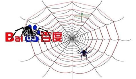 教程SEO技术搜索引擎优化（百度蜘蛛是如何来到你的网站）-8848SEO