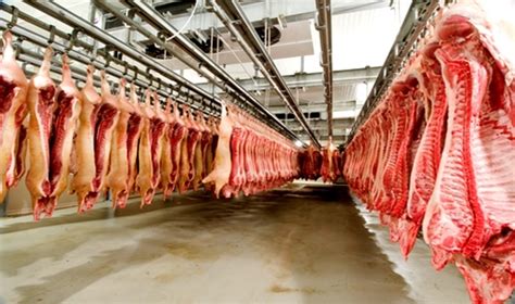 冻猪肉收储工作启动 智能冷库带来肉品稳定和安全升级_储备猪肉冷库,储备冻猪肉冷库,智能冷库_热点要闻_食品机械设备网