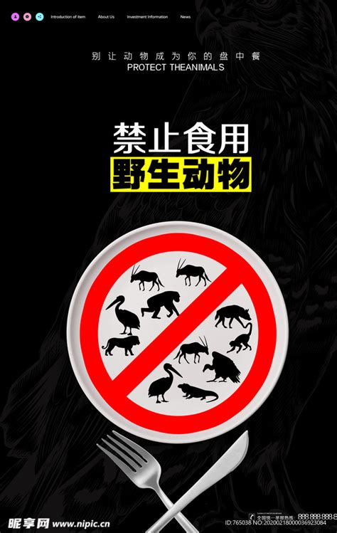 禁止食用 野生动物设计图__海报设计_广告设计_设计图库_昵图网nipic.com