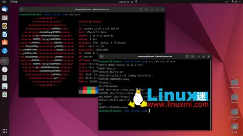 Ubuntu系统入门教程-安装ubuntu20.04 - 创客智造/爱折腾智能机器人