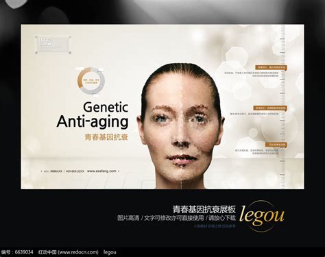 抗衰老护肤品行业网络关注度分析报告 - 知乎
