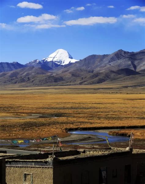 【点赞】把生命的激情献给西藏，因为《我是西藏人》！_国内新闻_环球网