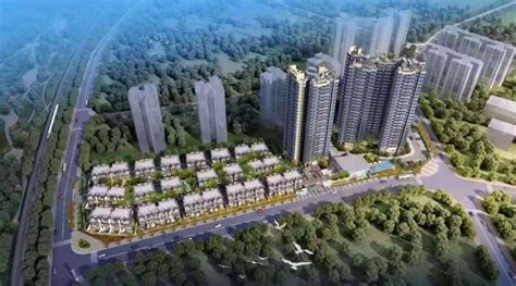 东莞市常平某市场改造方案- 东莞市慧力建筑设计有限公司