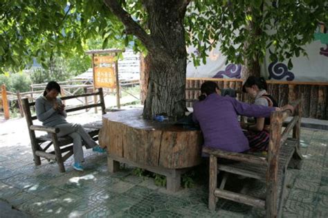 在林芝人家 看十里桃花——西藏林芝市少数民族民宿发展掠影-中国民族网