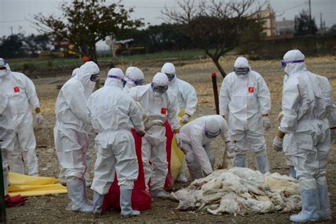 禽流感病毒进化变异与公共卫生风险预警研究获进展----中国科学院
