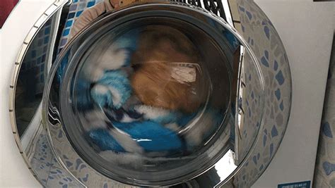 洗衣机洗过袜子怎么处理 - 便民服务网