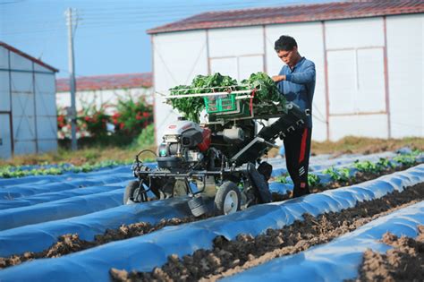 儋州：机械耕种助力春耕跑出“加速度”-新闻中心-南海网