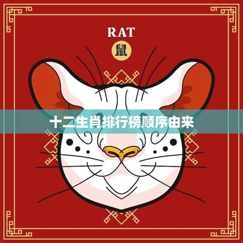 《猫和老鼠》中的“都市传说”_澎湃新闻-The Paper