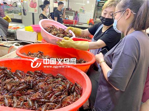又到一年一度“龙虾季” 新马路菜市场小龙虾热销-义乌,市场-义乌新闻