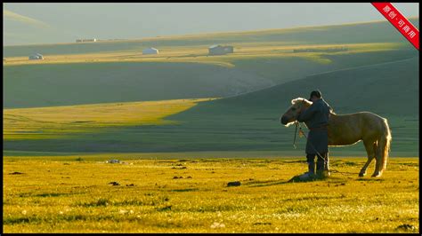 在内陆蒙古草原放牧高清图片下载-正版图片506575722-摄图网